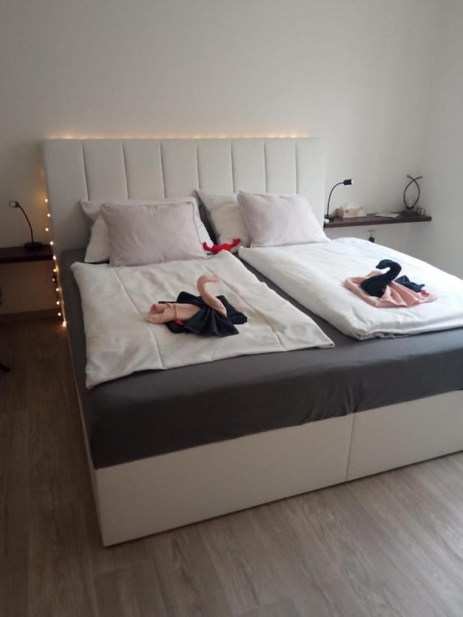 Academic Apartment برنو المظهر الخارجي الصورة