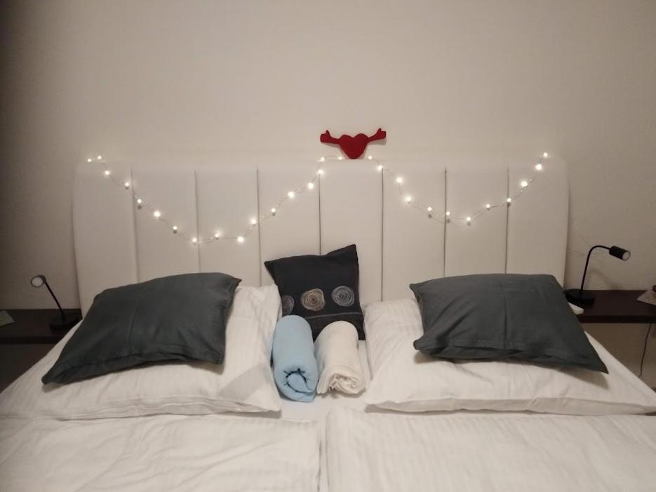Academic Apartment برنو المظهر الخارجي الصورة