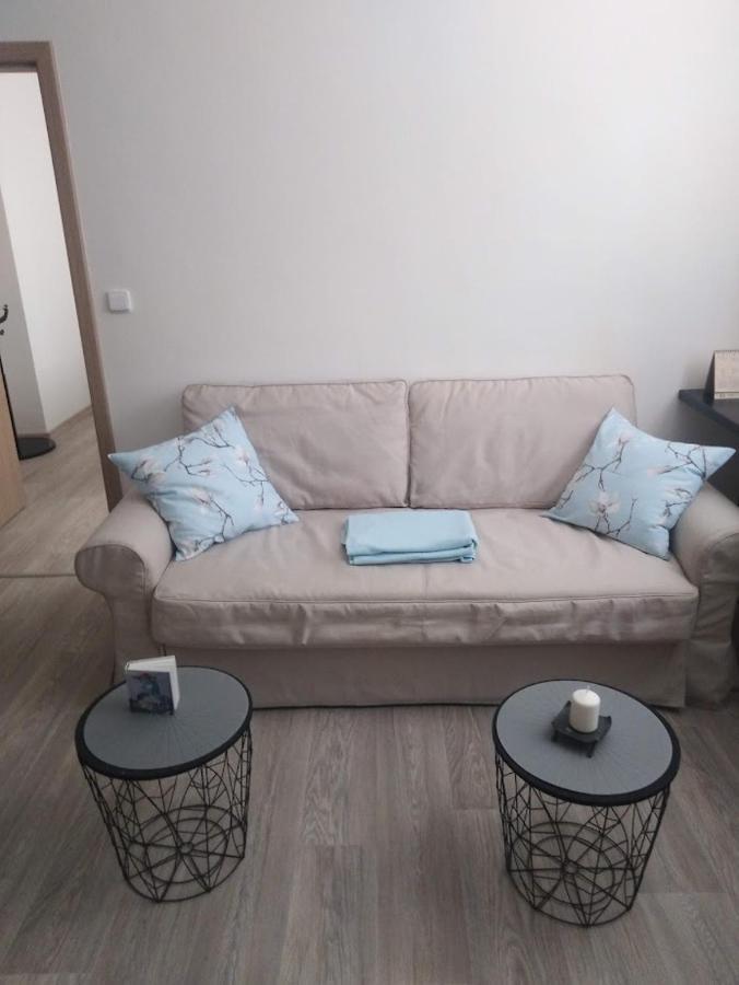 Academic Apartment برنو المظهر الخارجي الصورة
