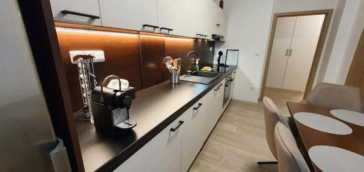 Academic Apartment برنو المظهر الخارجي الصورة