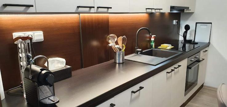 Academic Apartment برنو المظهر الخارجي الصورة